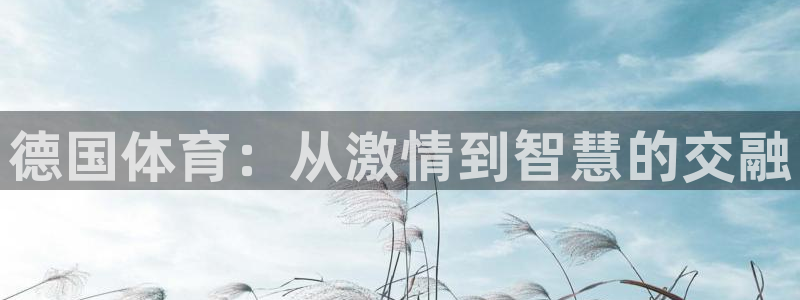 皇冠678体育：德国体育：从激情到智慧的交融