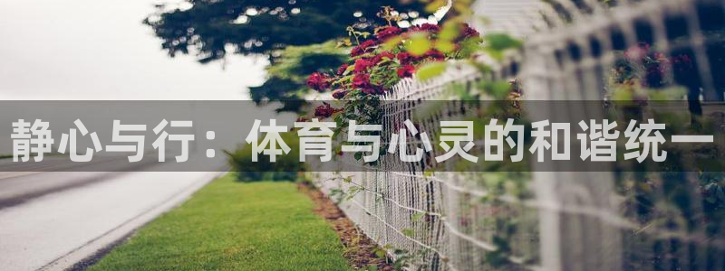 678体育：静心与行：体育与心灵的和谐统一