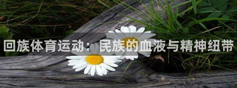 678体育app：回族体育运动：民族的血液与精神纽带