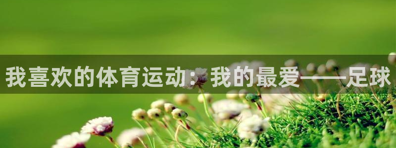 皇冠678体育：我喜欢的体育运动：我的最爱——足球