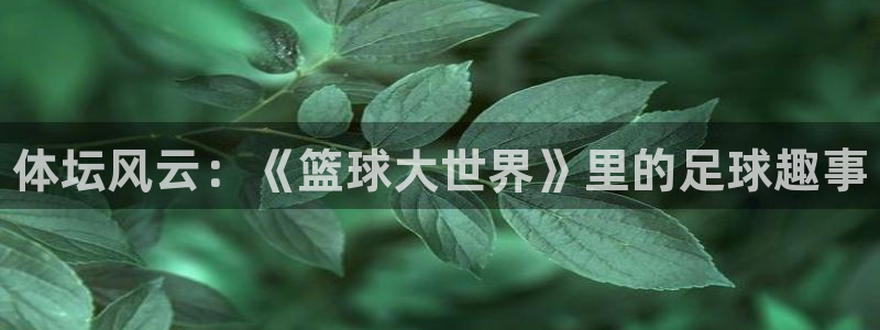 678体育：体坛风云：《篮球大世界》里的足球趣事