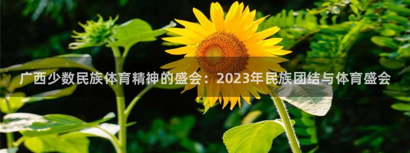 678体育官网地址：广西少数民族体育精神的盛会：2023年民族团结与体育盛会