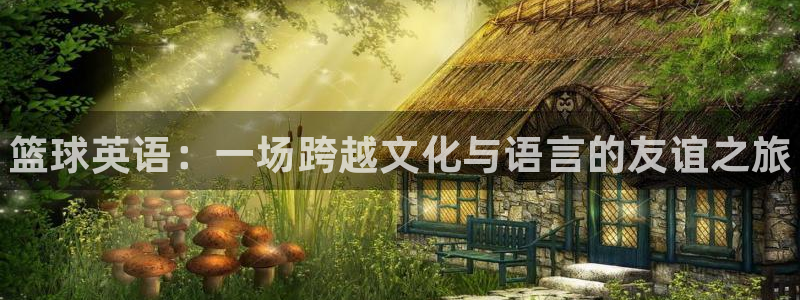 678体育官网地址：篮球英语：一场跨越文化与语言的友谊之旅