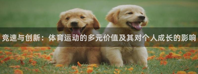 678体育app：竞速与创新：体育运动的多元价值及其对个人成长的影响