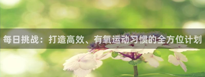 678体育官网：每日挑战：打造高效、有氧运动习惯的全方位计划