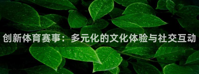 678体育官网地址：创新体育赛事：多元化的文化体验与社交互动