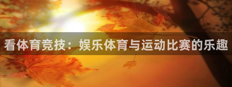 678体育：看体育竞技：娱乐体育与运动比赛的乐趣