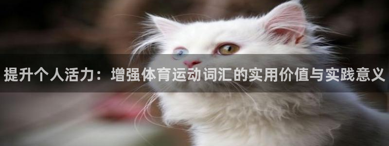 678体育知识：提升个人活力：增强体育运动词汇的实用价值与实践意义