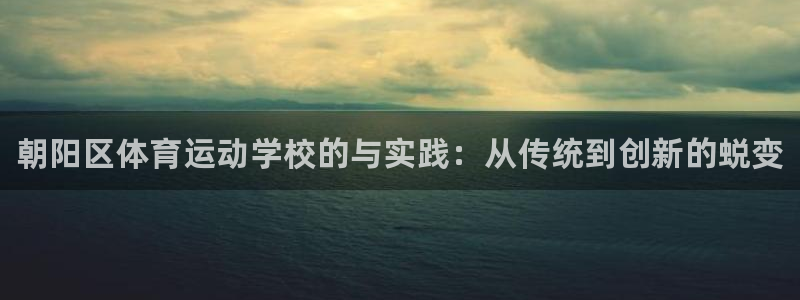 678体育app：朝阳区体育运动学校的与实践：从传统到创新的蜕变