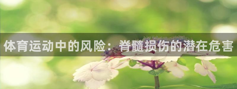 678体育知识：体育运动中的风险：脊髓损伤的潜在危害
