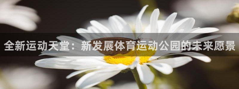 678体育知识：全新运动天堂：新发展体育运动公园的未来愿景