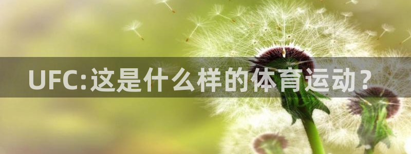 678体育官网下载：UFC:这是什么样的体育运动？