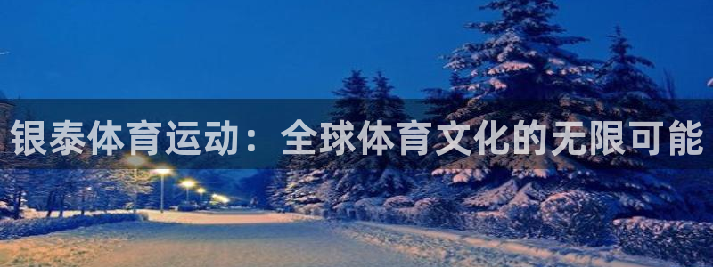 678体育：银泰体育运动：全球体育文化的无限可能