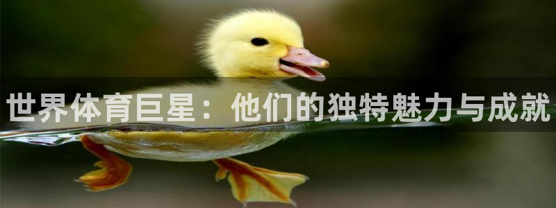678体育官网下载：世界体育巨星：他们的独特魅力与成就