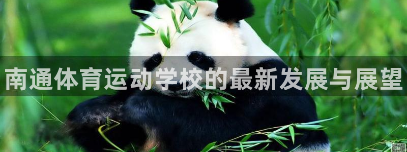 678体育知识：南通体育运动学校的最新发展与展望