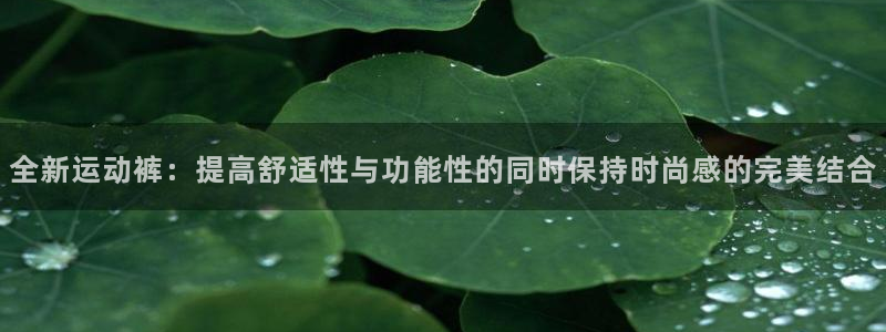 678体育官网地址：全新运动裤：提高舒适性与功能性的同时保持时尚感的完美结合