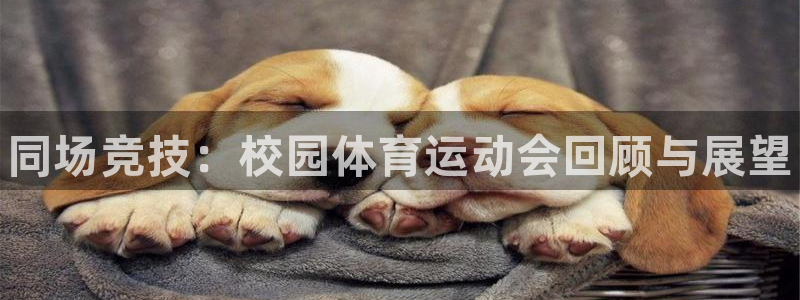 678体育官网下载：同场竞技：校园体育运动会回顾与展望