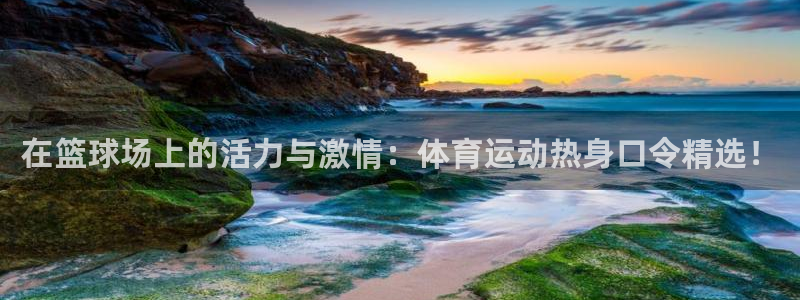 678体育官网地址：在篮球场上的活力与激情：体育运动热身口令精选！