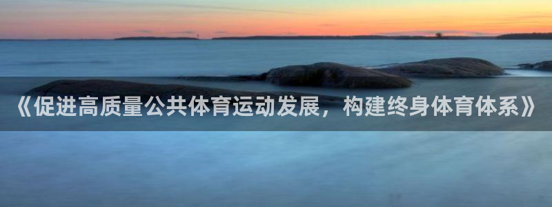 678体育官网：《促进高质量公共体育运动发展，构建终身体育体系》