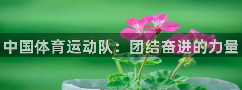 678体育app：中国体育运动队：团结奋进的力量