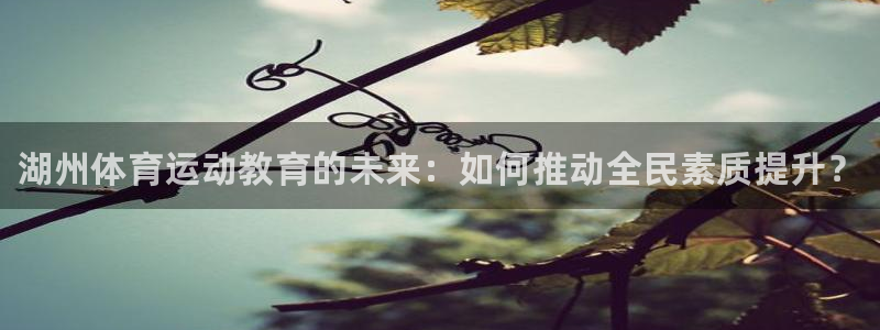 678体育官网下载：湖州体育运动教育的未来：如何推动全民素质提升？