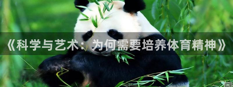 678体育：《科学与艺术：为何需要培养体育精神》