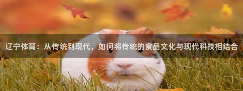 678体育官网地址：辽宁体育：从传统到现代，如何将传统的食品文化与现代科技相结合