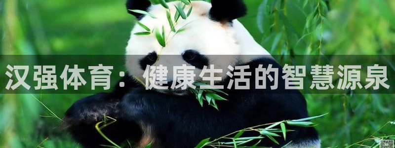 678体育官网：汉强体育：健康生活的智慧源泉