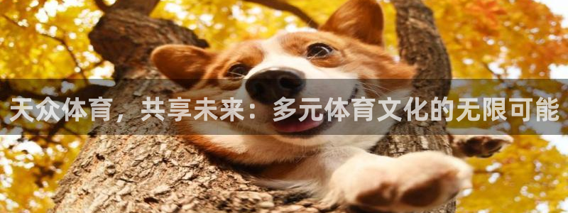 678体育官网地址：天众体育，共享未来：多元体育文化的无限可能