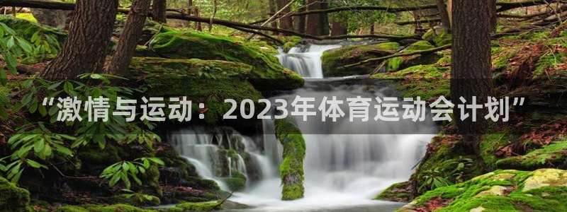 678体育知识：“激情与运动：2023年体育运动会计划”