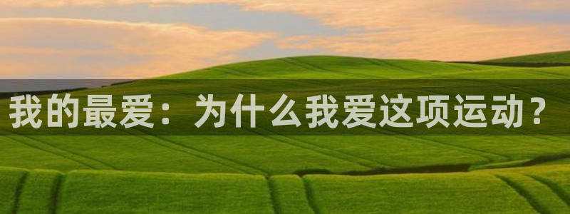 678体育app：我的最爱：为什么我爱这项运动？