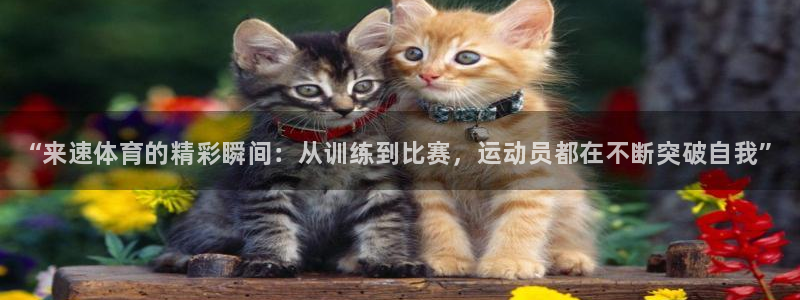 678体育app：“来速体育的精彩瞬间：从训练到比赛，运动员都在不断突破自我”