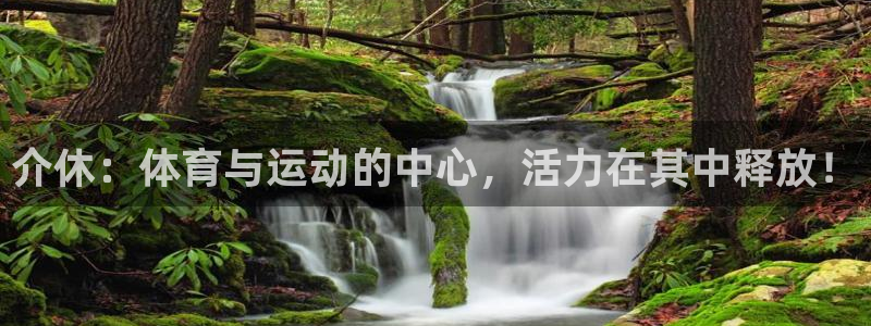 678体育官网下载