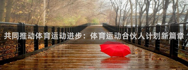 678体育官网地址：共同推动体育运动进步：体育运动合伙人计划新篇章