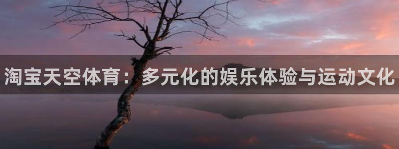 678体育官网：淘宝天空体育：多元化的娱乐体验与运动文化
