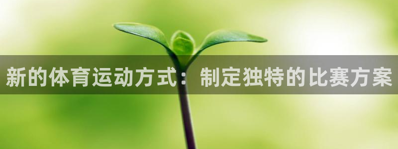 678体育知识：新的体育运动方式：制定独特的比赛方案