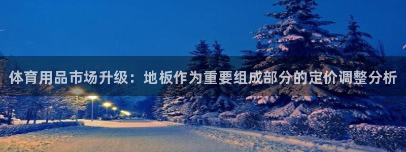 678体育官网下载：体育用品市场升级：地板作为重要组成部分的定价调整分析