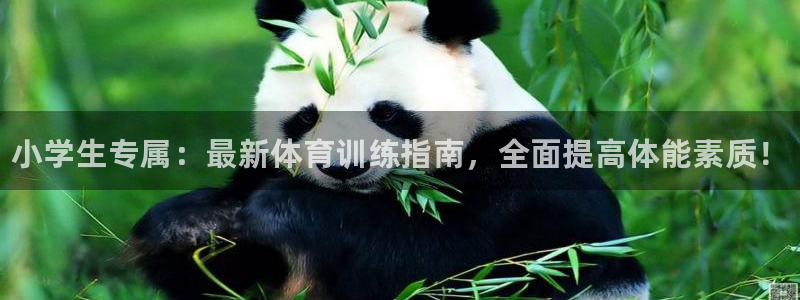 678体育官网地址：小学生专属：最新体育训练指南，全面提高体能素质！