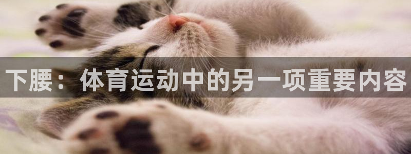 678体育知识：下腰：体育运动中的另一项重要内容