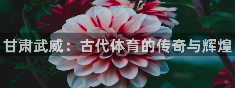 678体育知识：甘肃武威：古代体育的传奇与辉煌